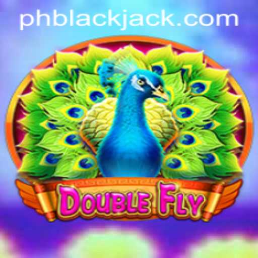 DoubleFly: A Unique Twist on Classic BlackJack