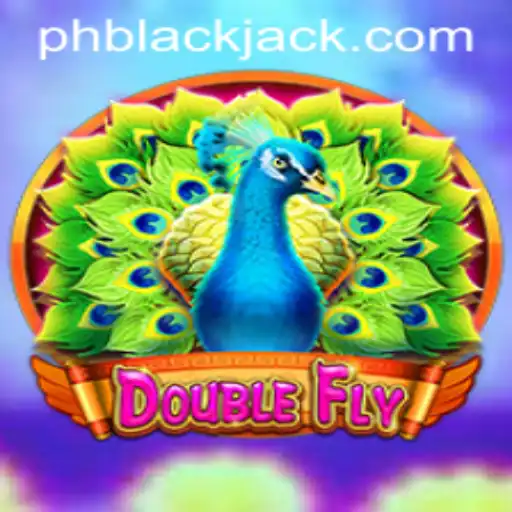 DoubleFly: A Unique Twist on Classic BlackJack