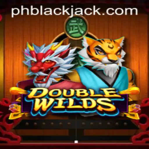 DoubleWilds: A New Twist on the Classic Game of BlackJack